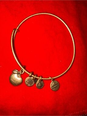 Alex and Ani Gold Apple Charm Bangle Bracelet
